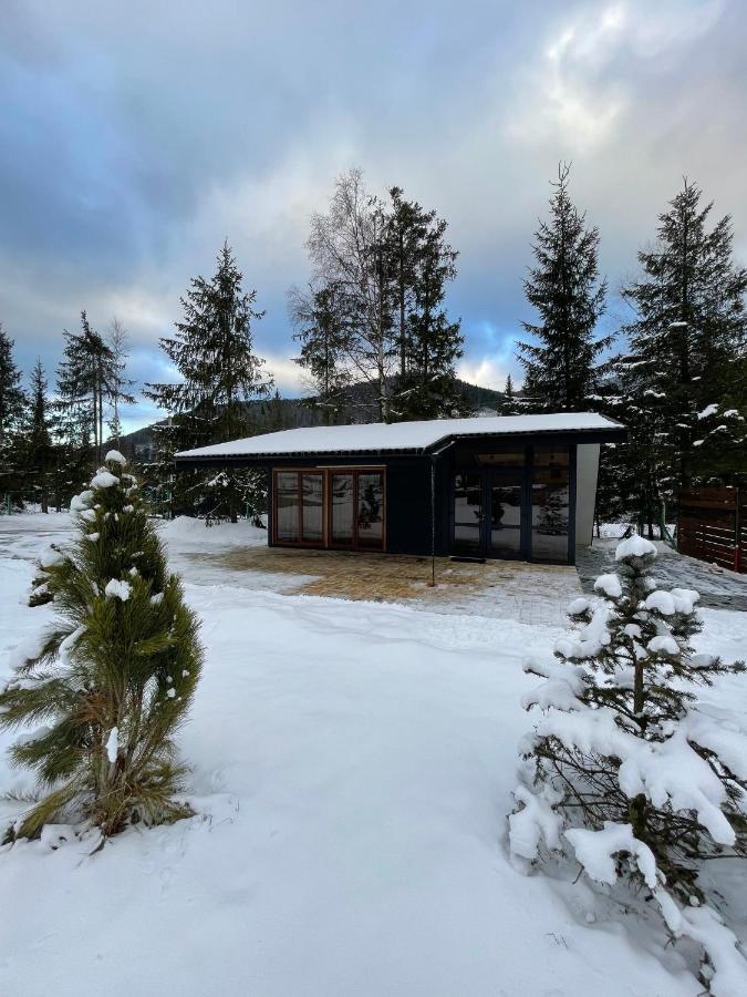 Yozefstal Villa Myslovka Buitenkant foto